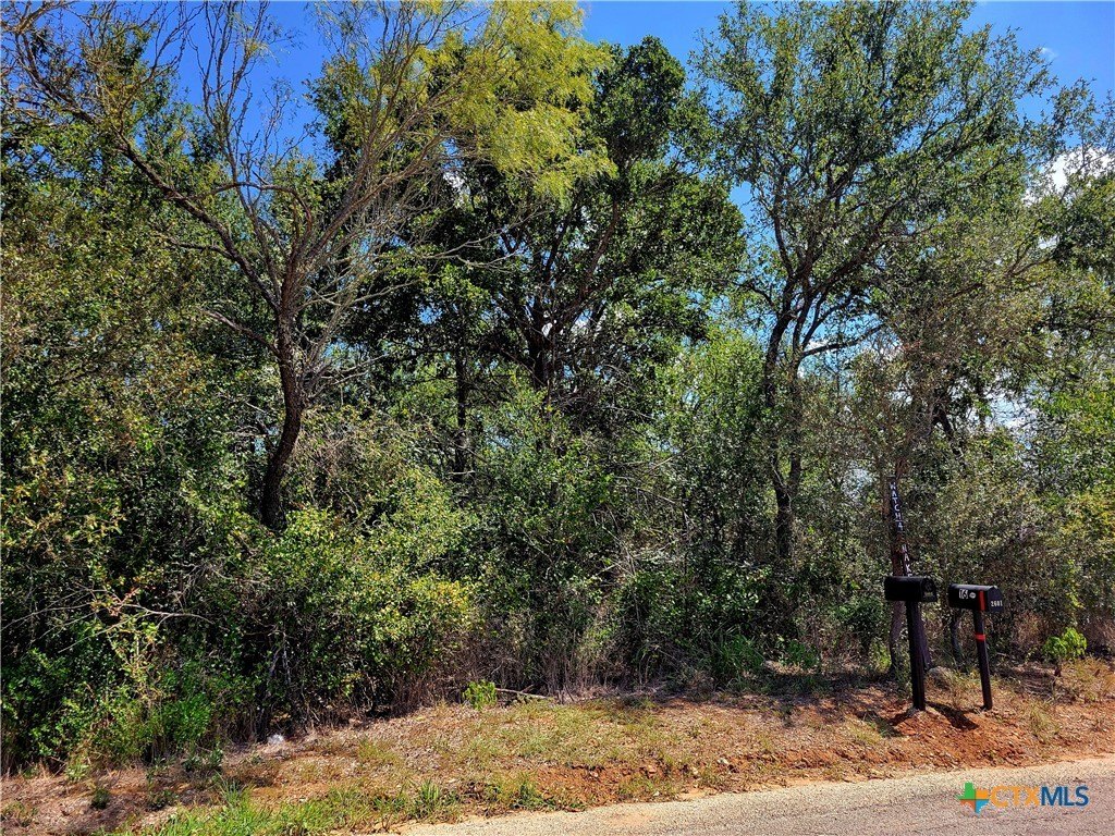 Land in Dale, Texas