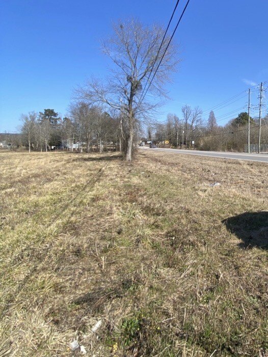 Picture 3