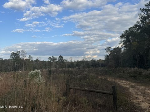 30 Acres in Wiggins, MS