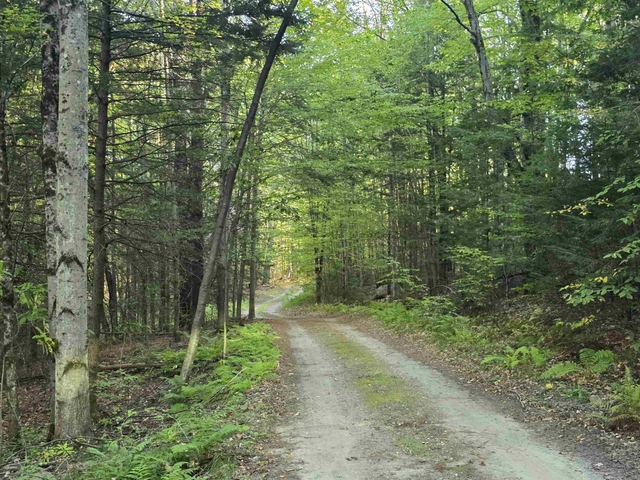 Westminster Rural Land Parcel