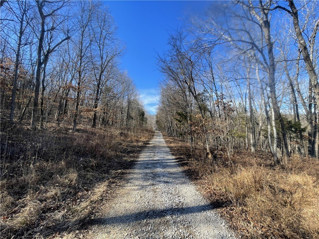 Picture 21