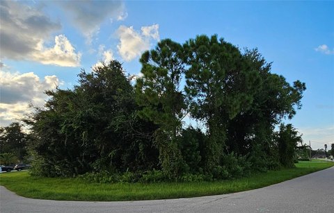 Oversized Corner Lot in Florida