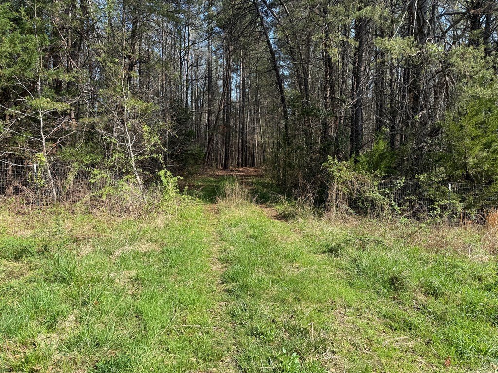Picture 3