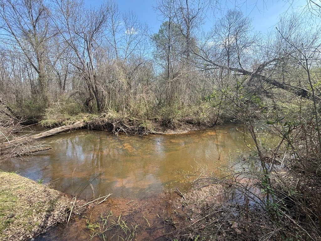 Picture 16