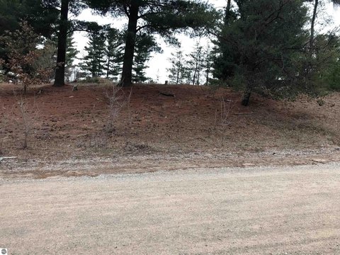 Residential Land in Mesick, MI