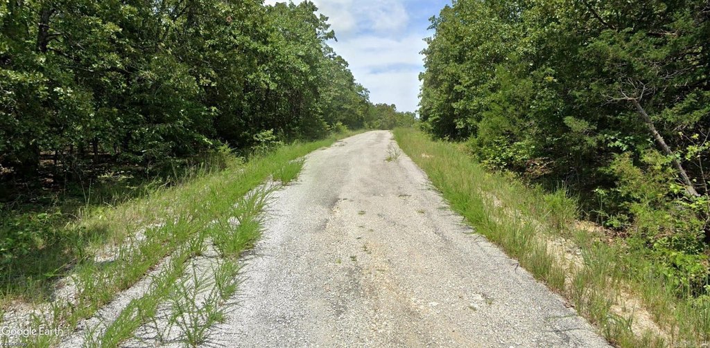 Picture 8