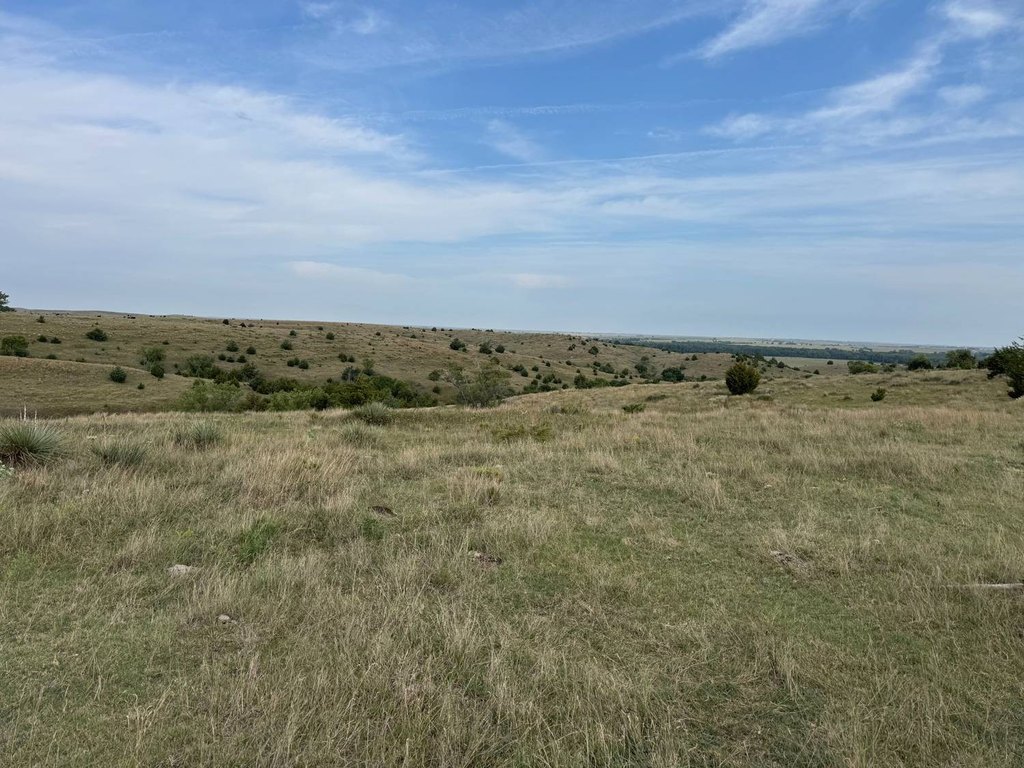 Picture 46