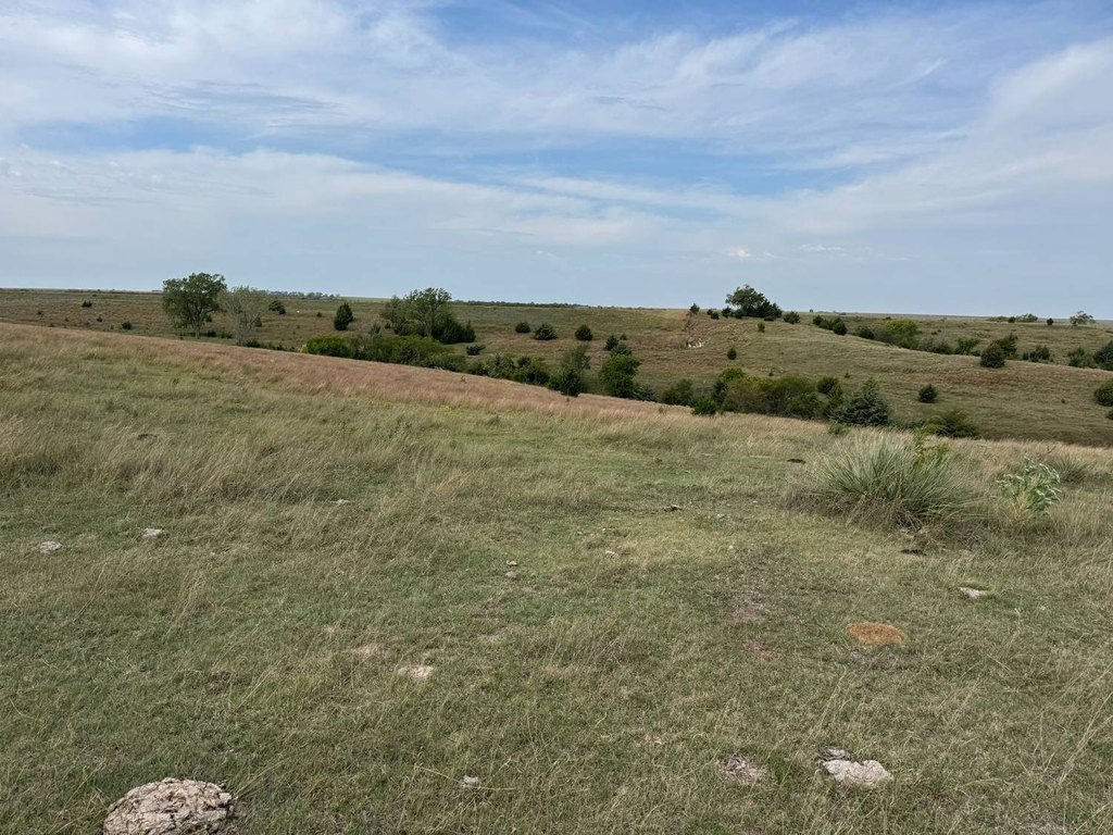 Picture 47