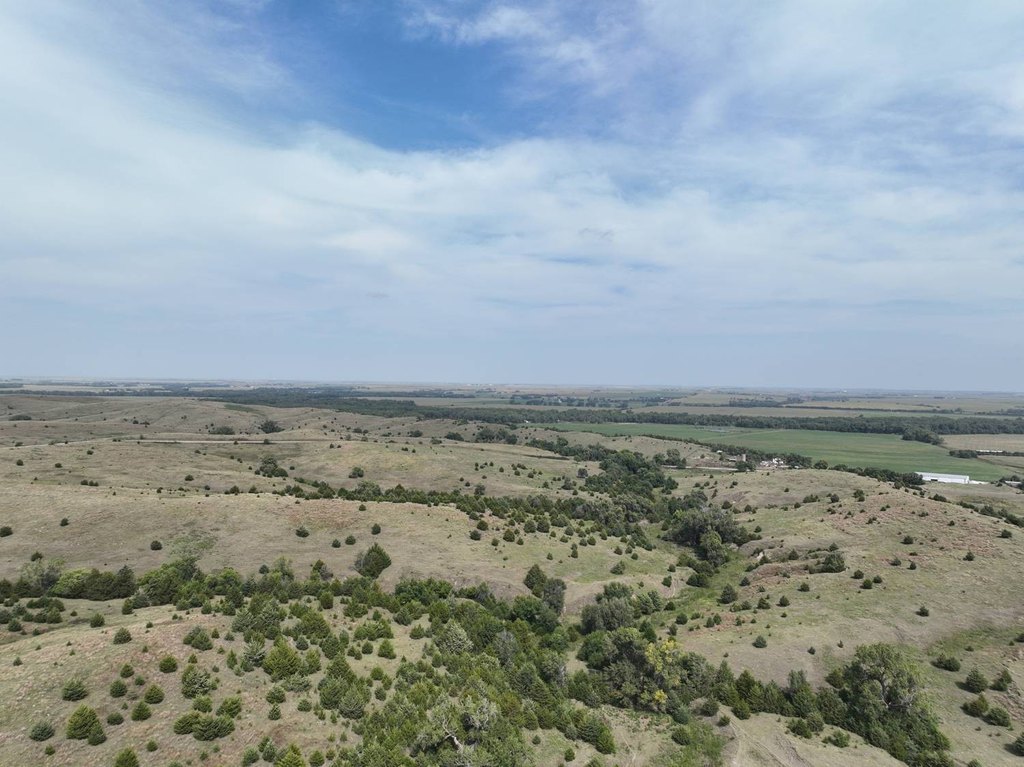 Picture 23