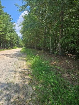 LAND - Carlton, GA