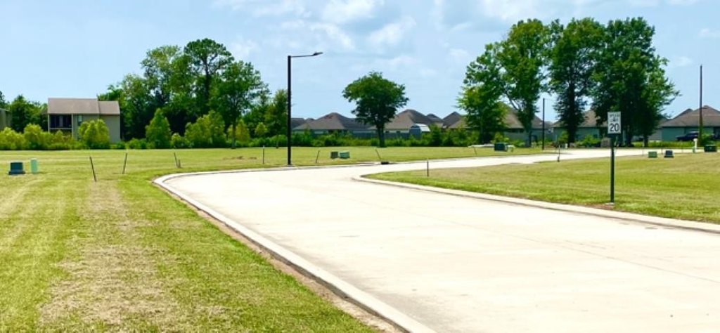 Picture 2