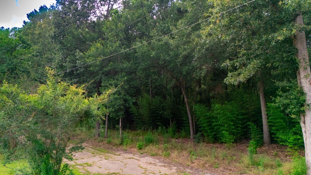 Picture 25