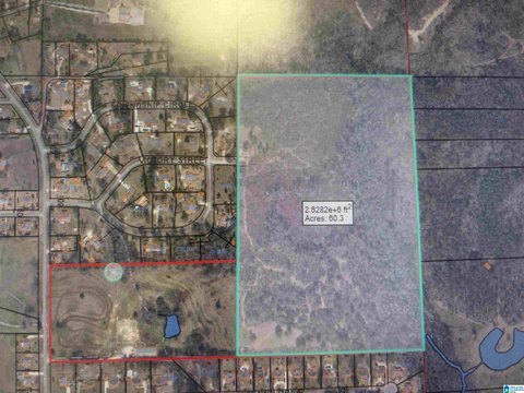 LAND/LOTS, CLANTON, AL