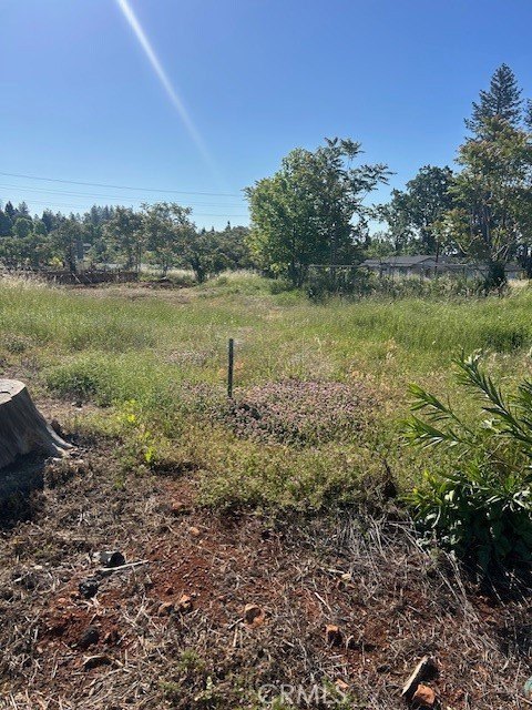 Paradise Land/Lot Rebuild Opportunity