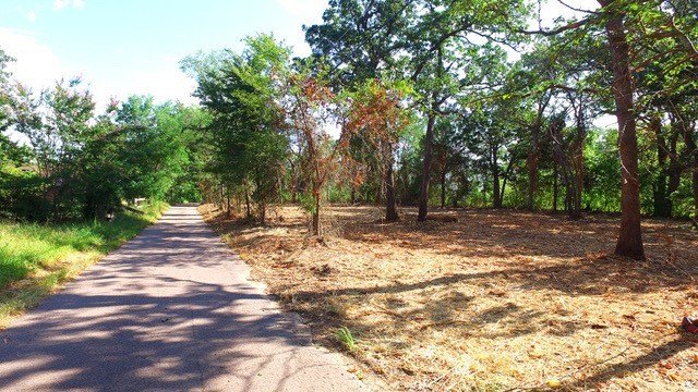 Picture 8