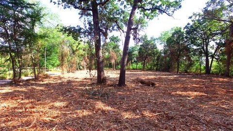 Half-Acre Lot in Denison, TX