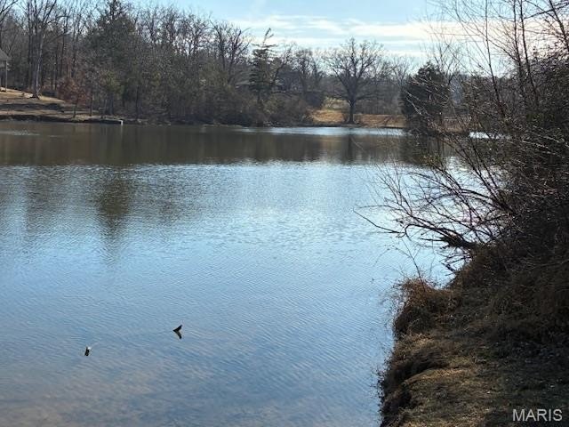 Picture 11