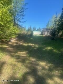 Picture 11