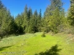Secluded Timbered Acreage for Sale