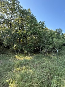 Wooded Waterfront Hunting Tract
