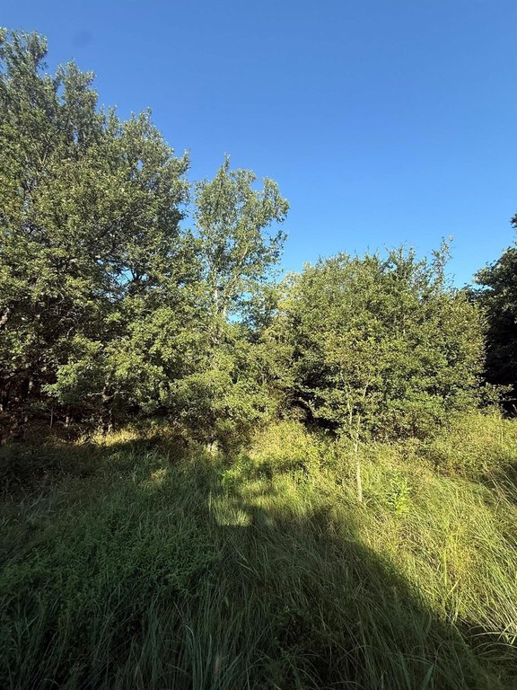 Picture 29