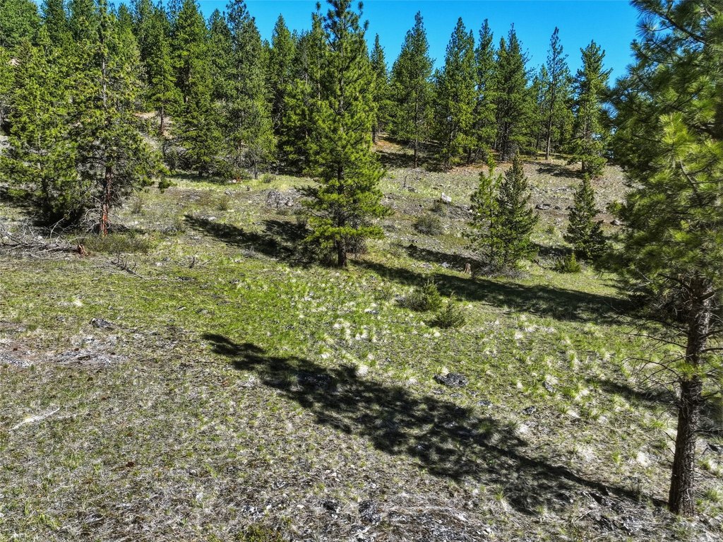 Picture 3
