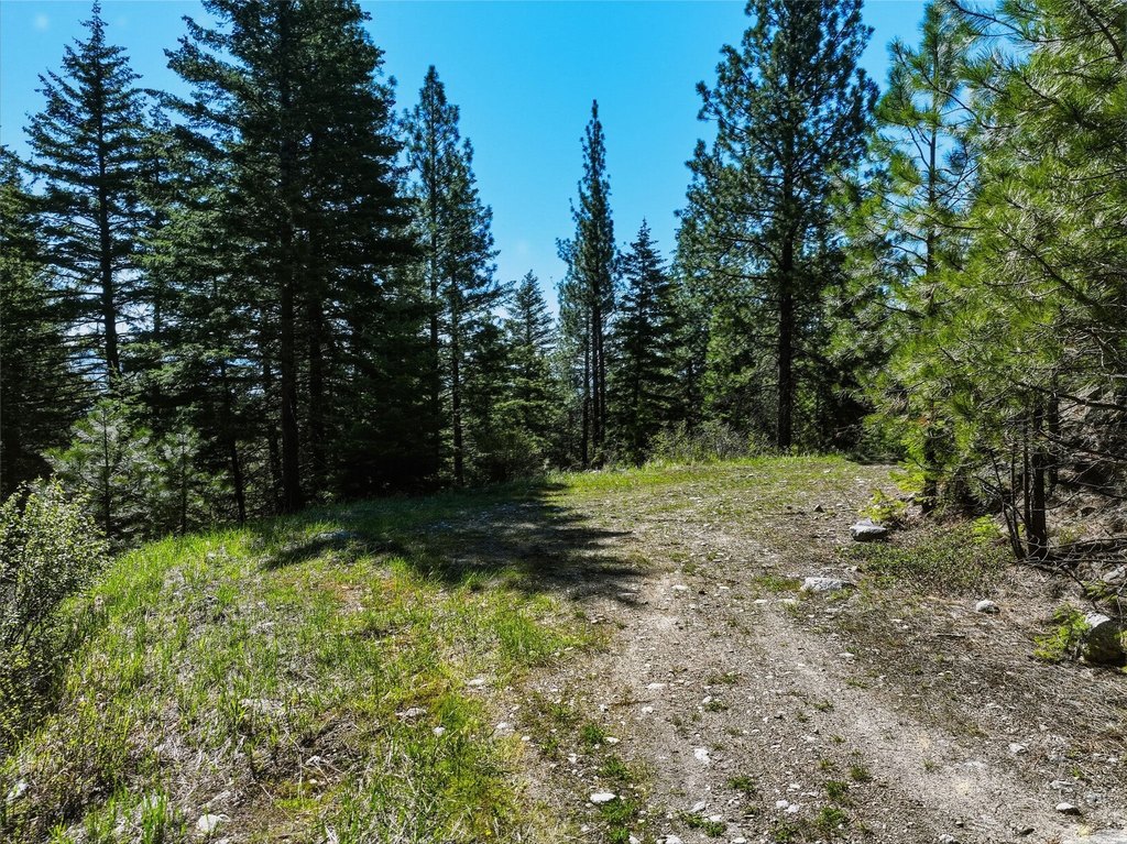 Picture 6
