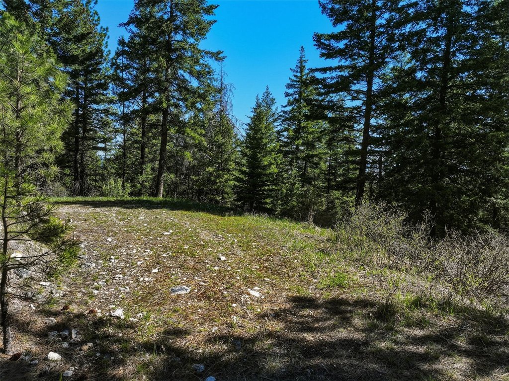 Picture 17