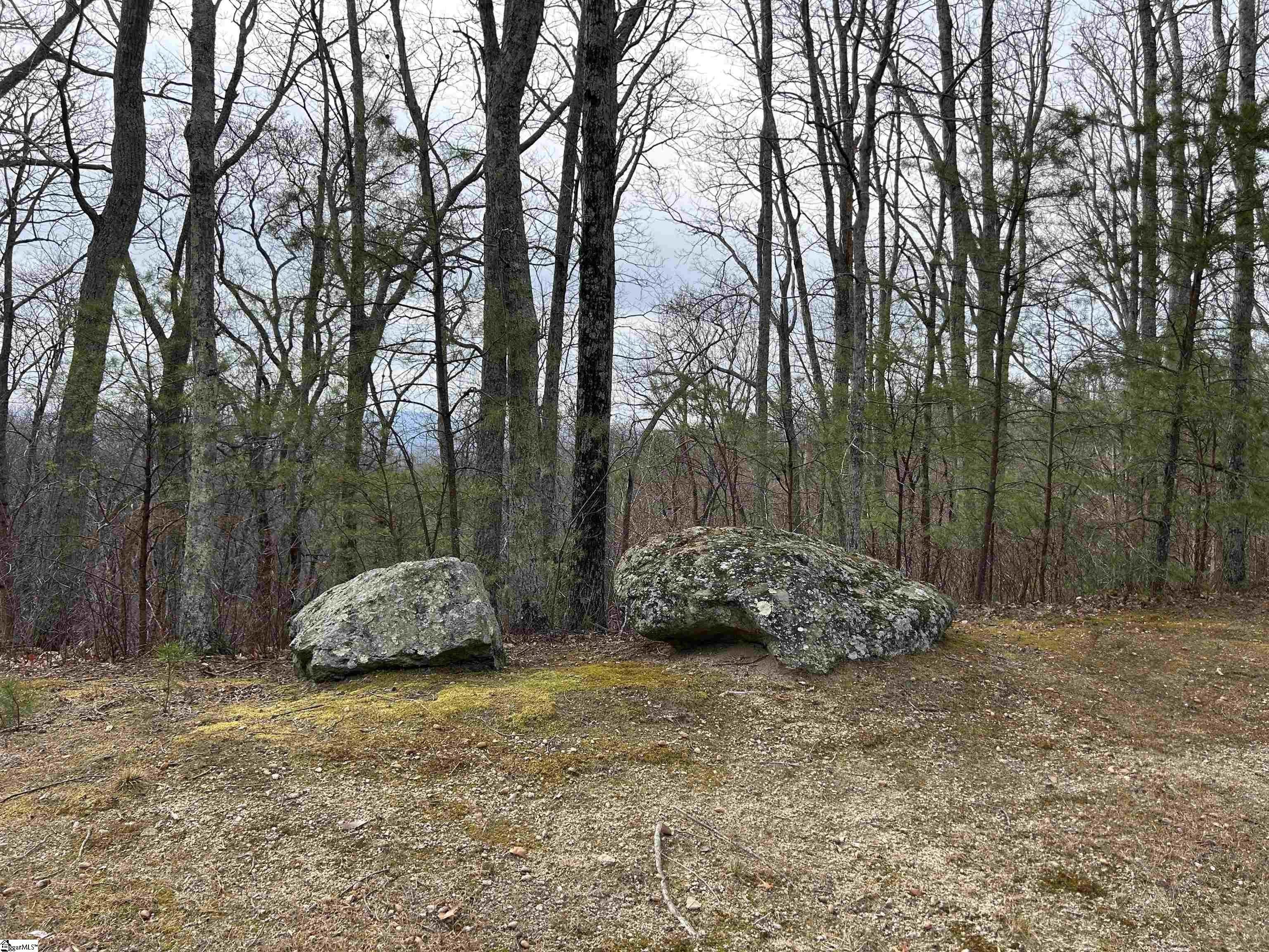 Landrum SC Building Lot