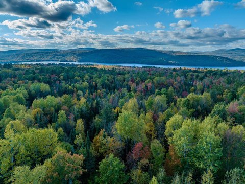 Large Recreational Land Parcel