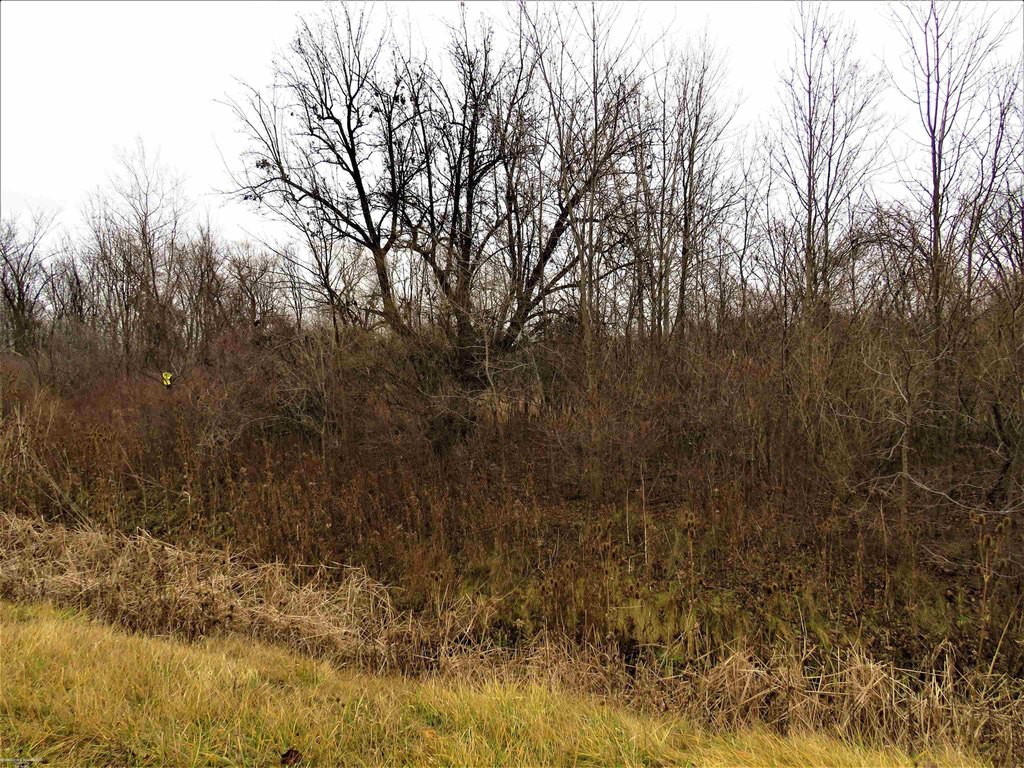 Picture 7