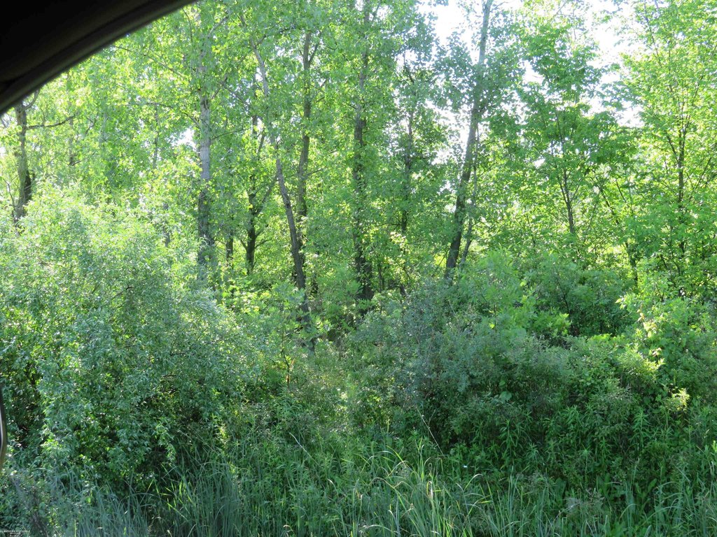 Picture 2