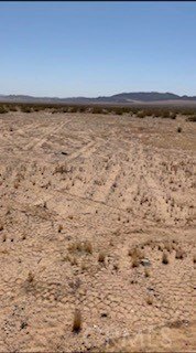 Spacious Land Parcel in 29 Palms