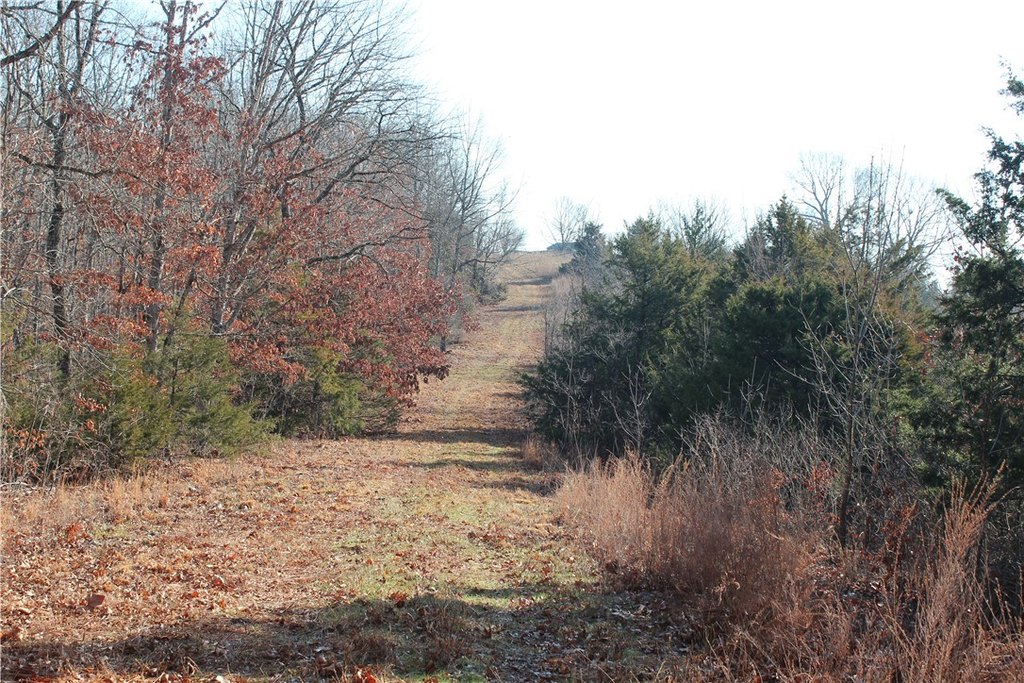Picture 35