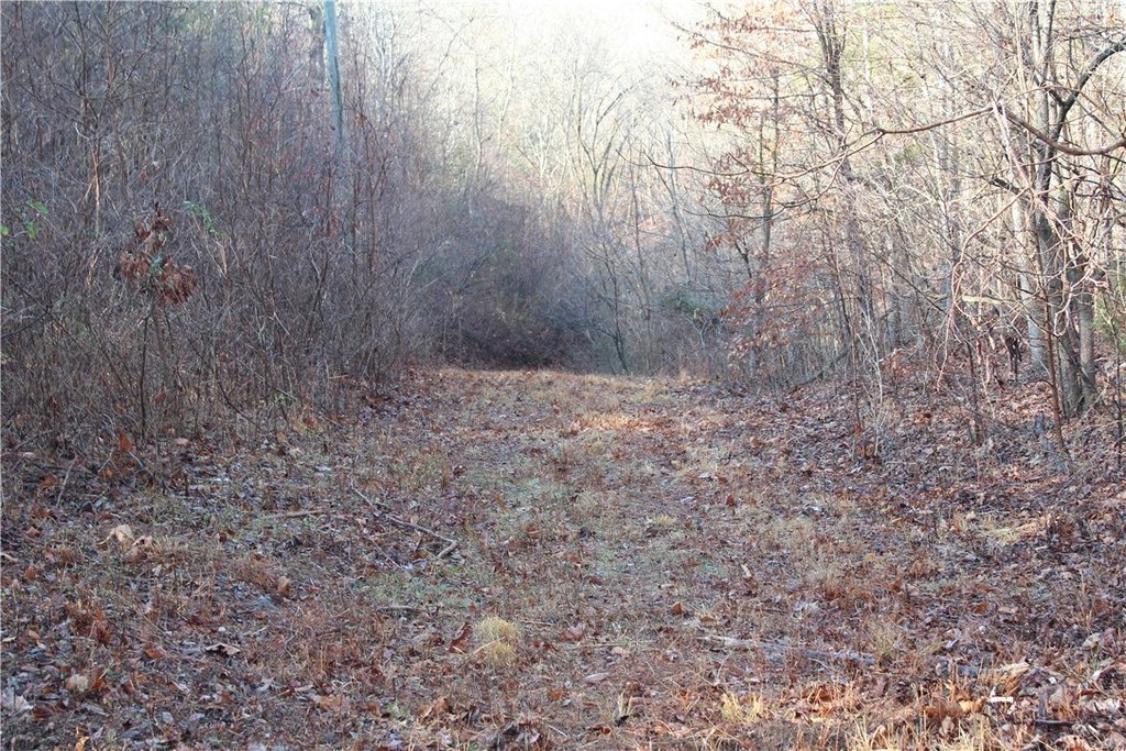 Picture 42