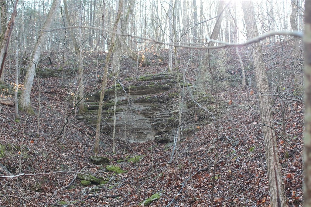 Picture 39