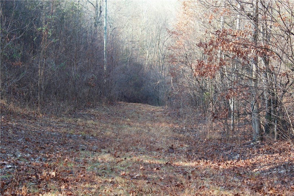 Picture 38