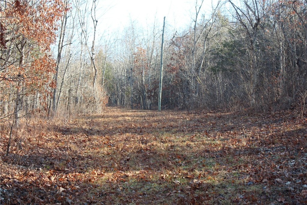 Picture 43