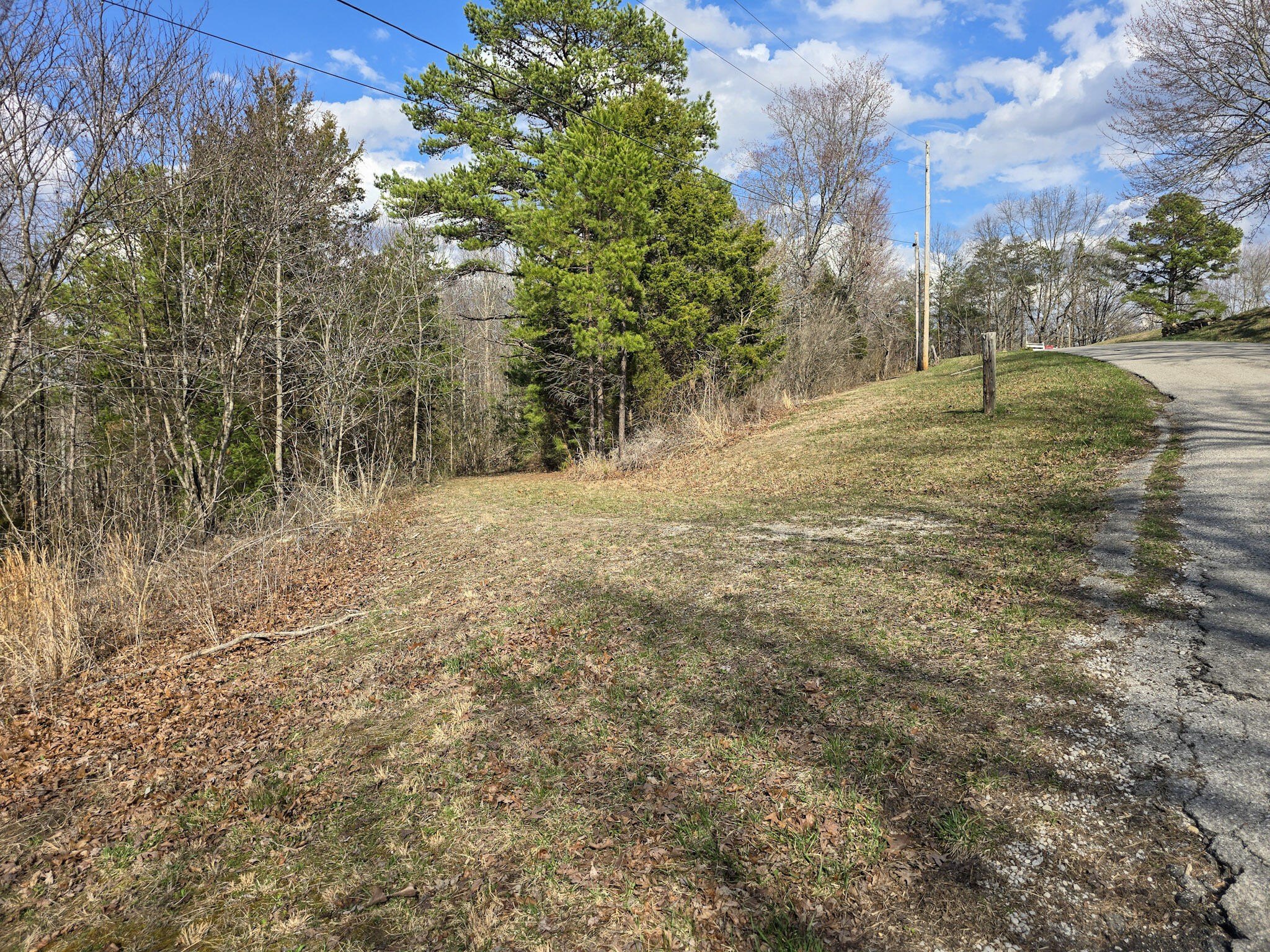 Kentucky Land with Timber Value