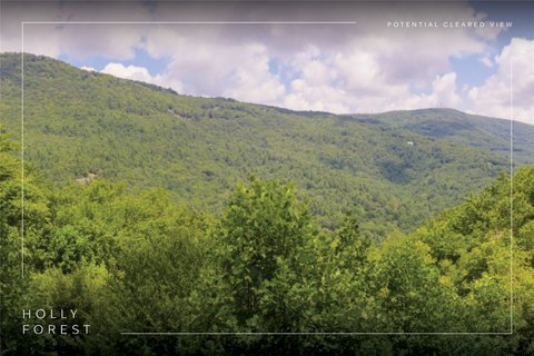 Land in Holly Forest XIV