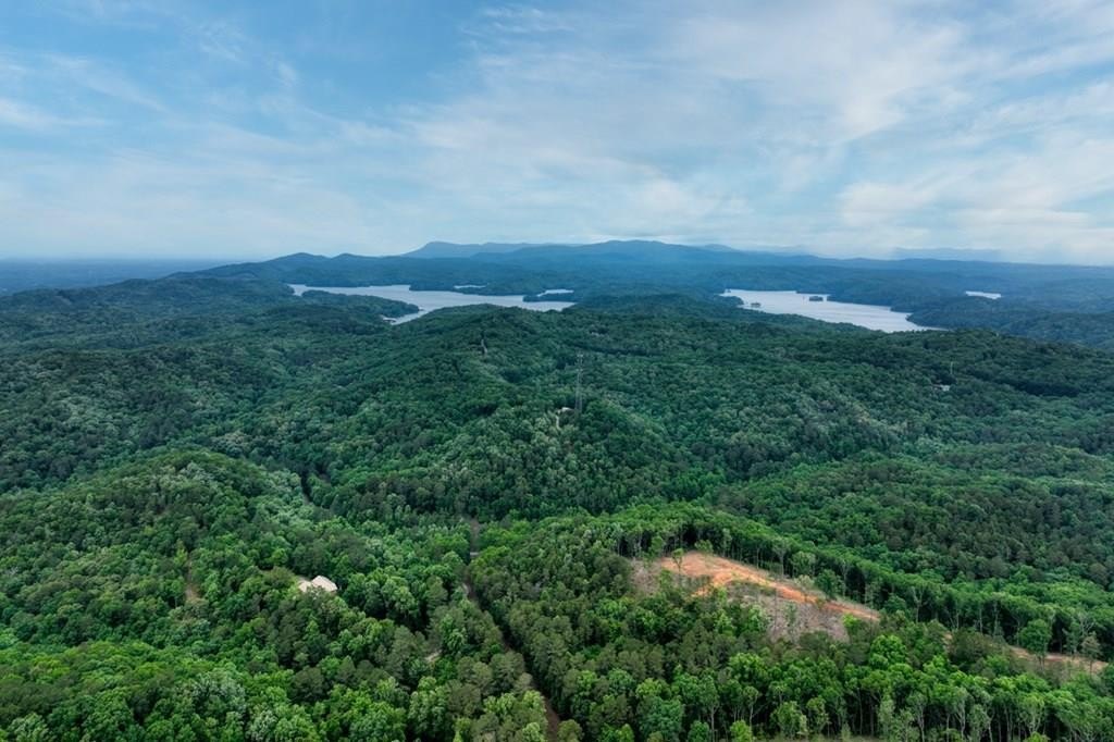North Georgia Hunting Retreat Acreage