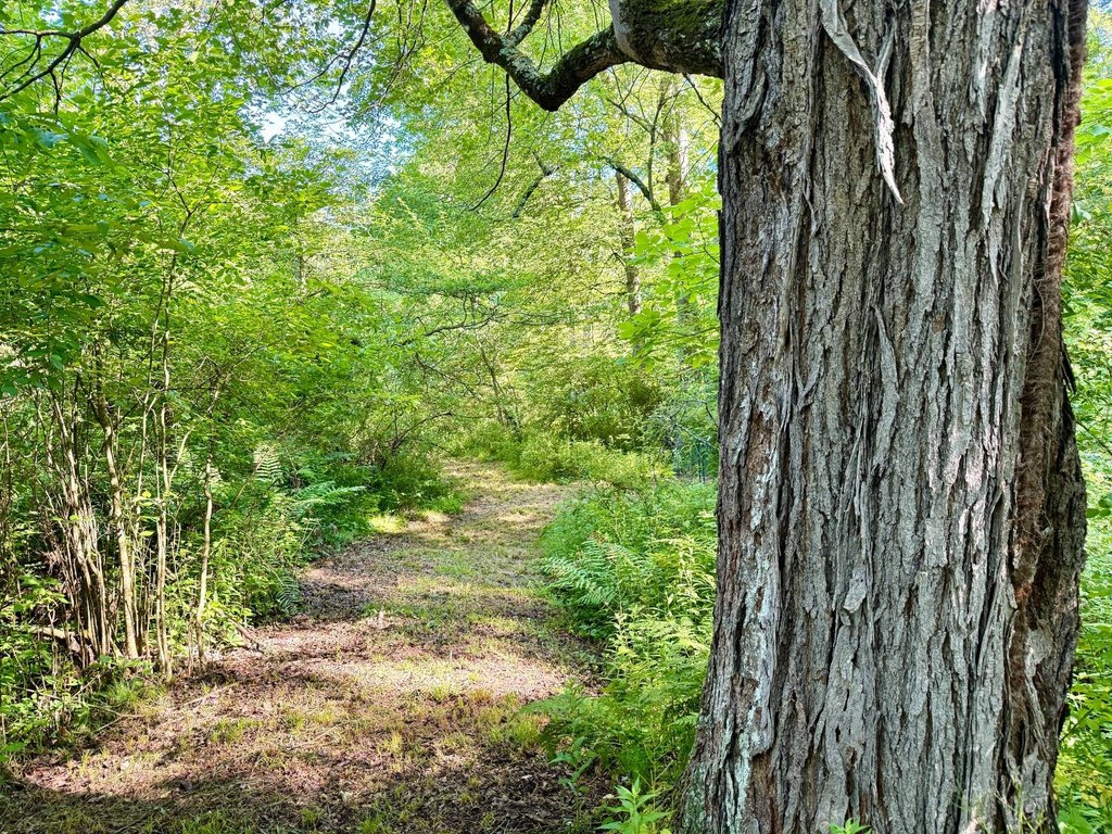 Picture 16