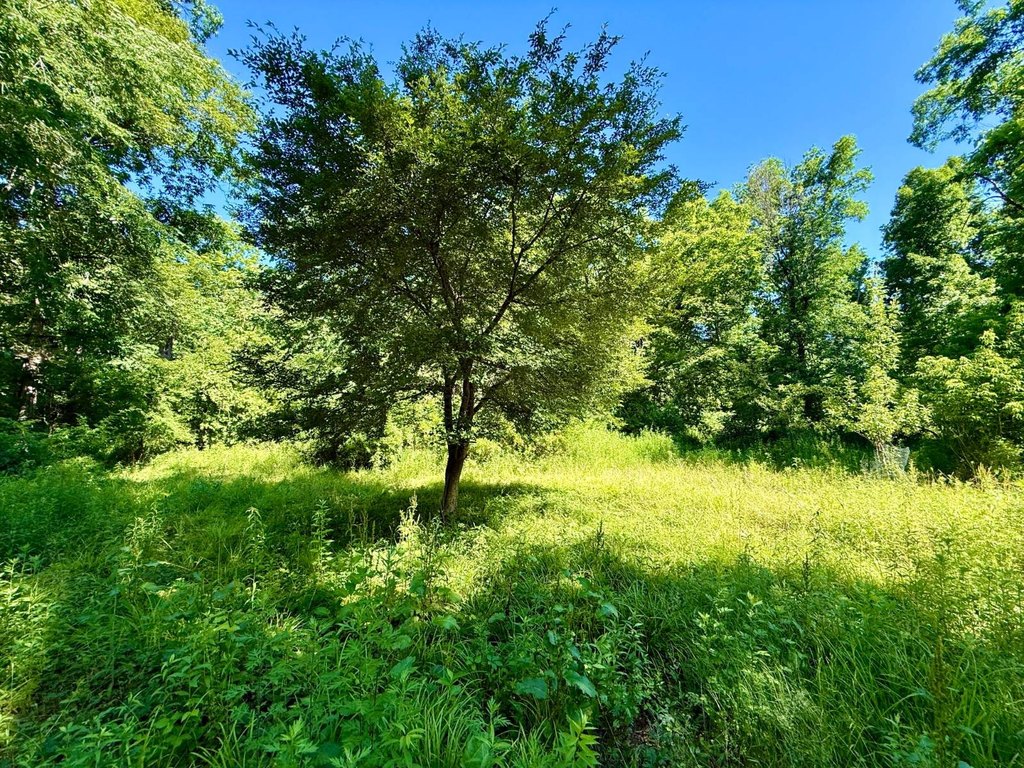 Picture 32