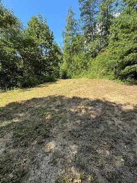 Buildable Land in Bryson City