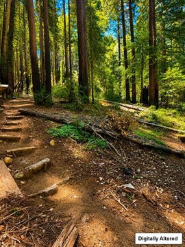 LAND - BROOKDALE, CA