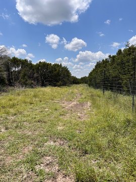 Heavily Wooded Ag Exempt Tract