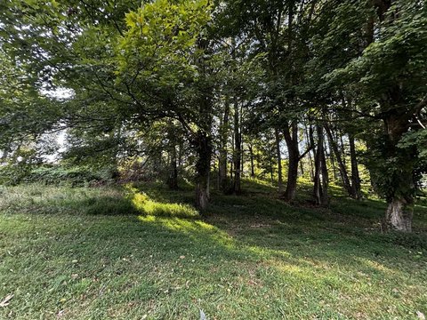 Lots and Land, Scottsville, KY