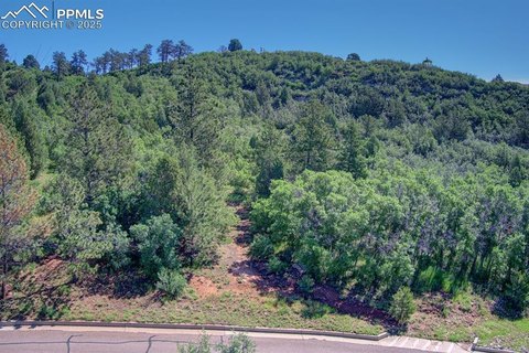 Colorado Springs Land Opportunity