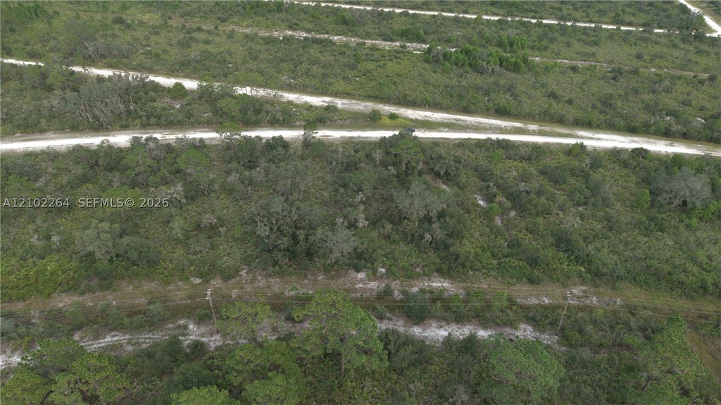 Picture 27