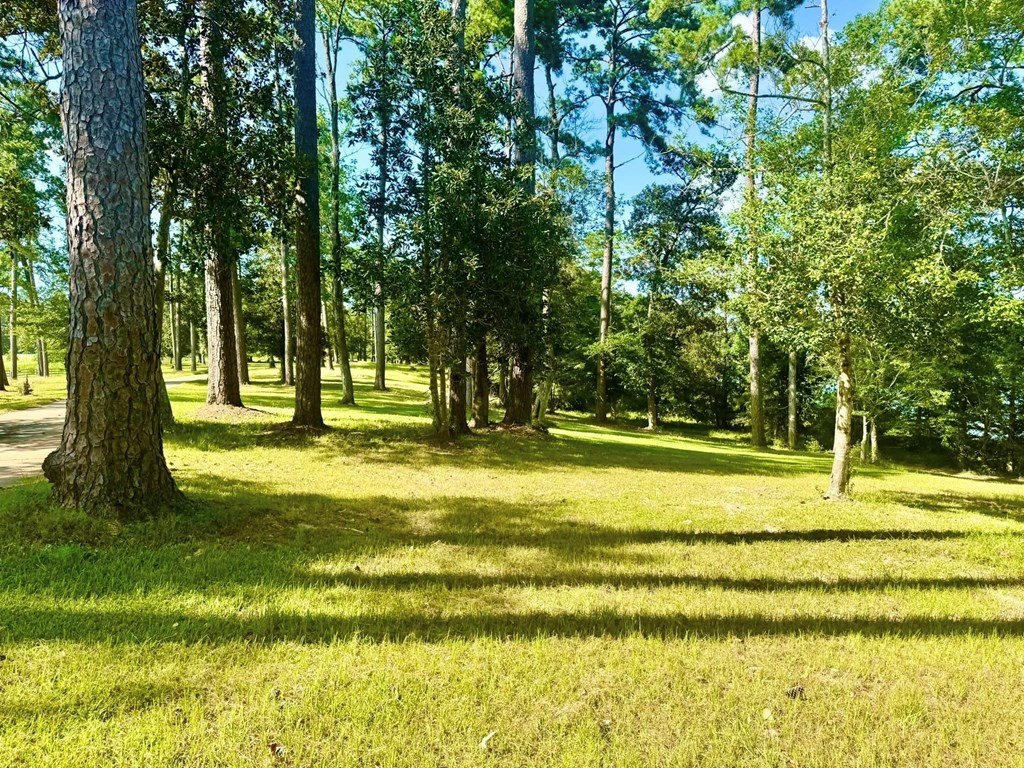 Picture 8
